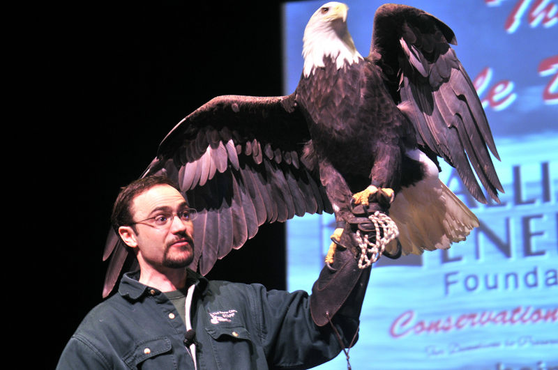 Bird watchers can get close to the stars of this show WITH VIDEO