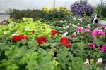 Jeff Hicken Horticultural Learning Center