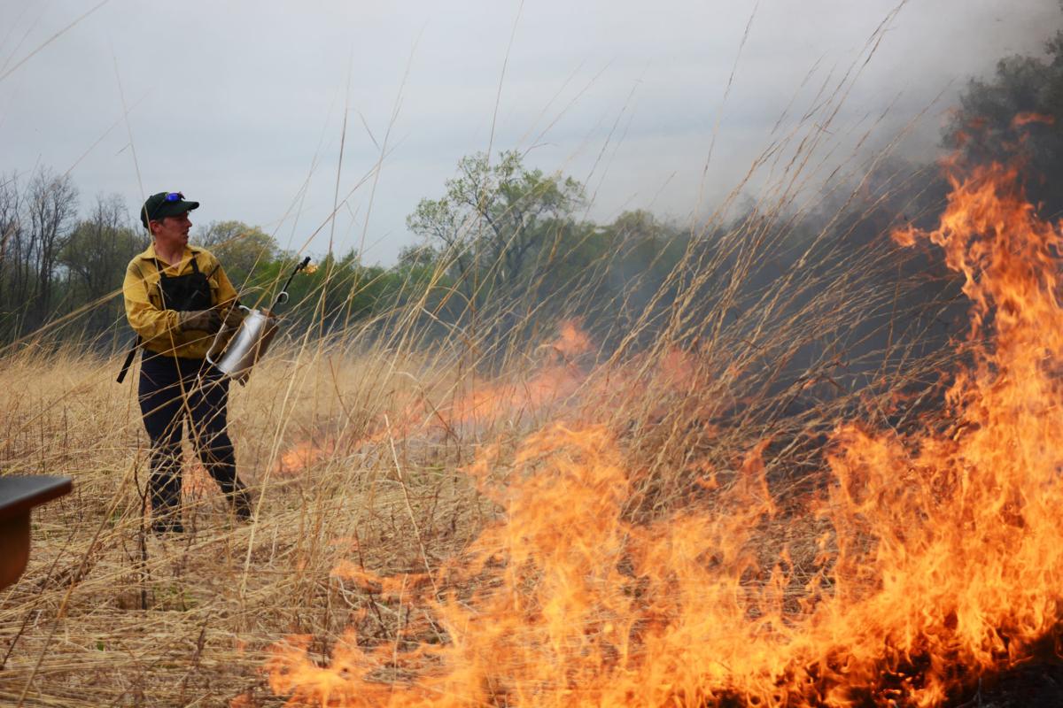 Controlled burns at International Crane Foundation foster healthy ecosystem