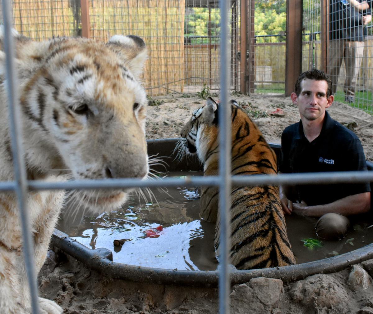 Rare Interactions Wet And Wild Dares Exceed Expectations At