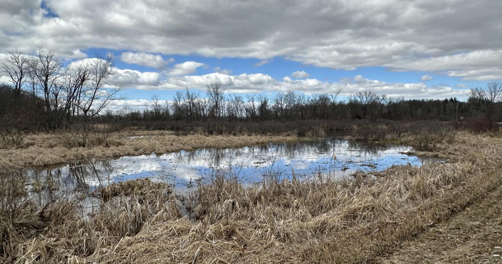 Residents oppose bottle manufacturing facility on Big Slough - Vimarsana News