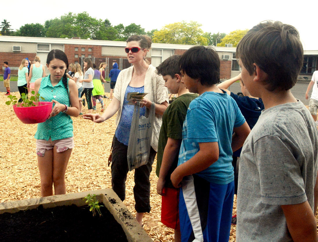 Bartels garden (copy)