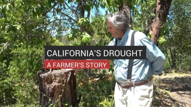 Waupun Police Beat 0428 To 0429 2021 Crime And Courts Wiscnews Com