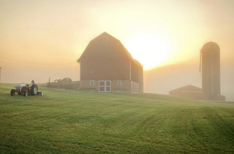 Rural scenery