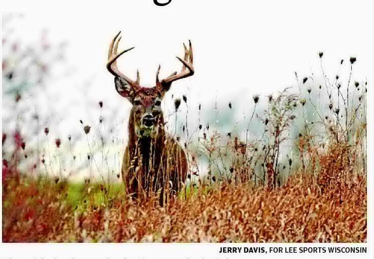 5 Things To Know About Wis. Gun Deer-hunting Season