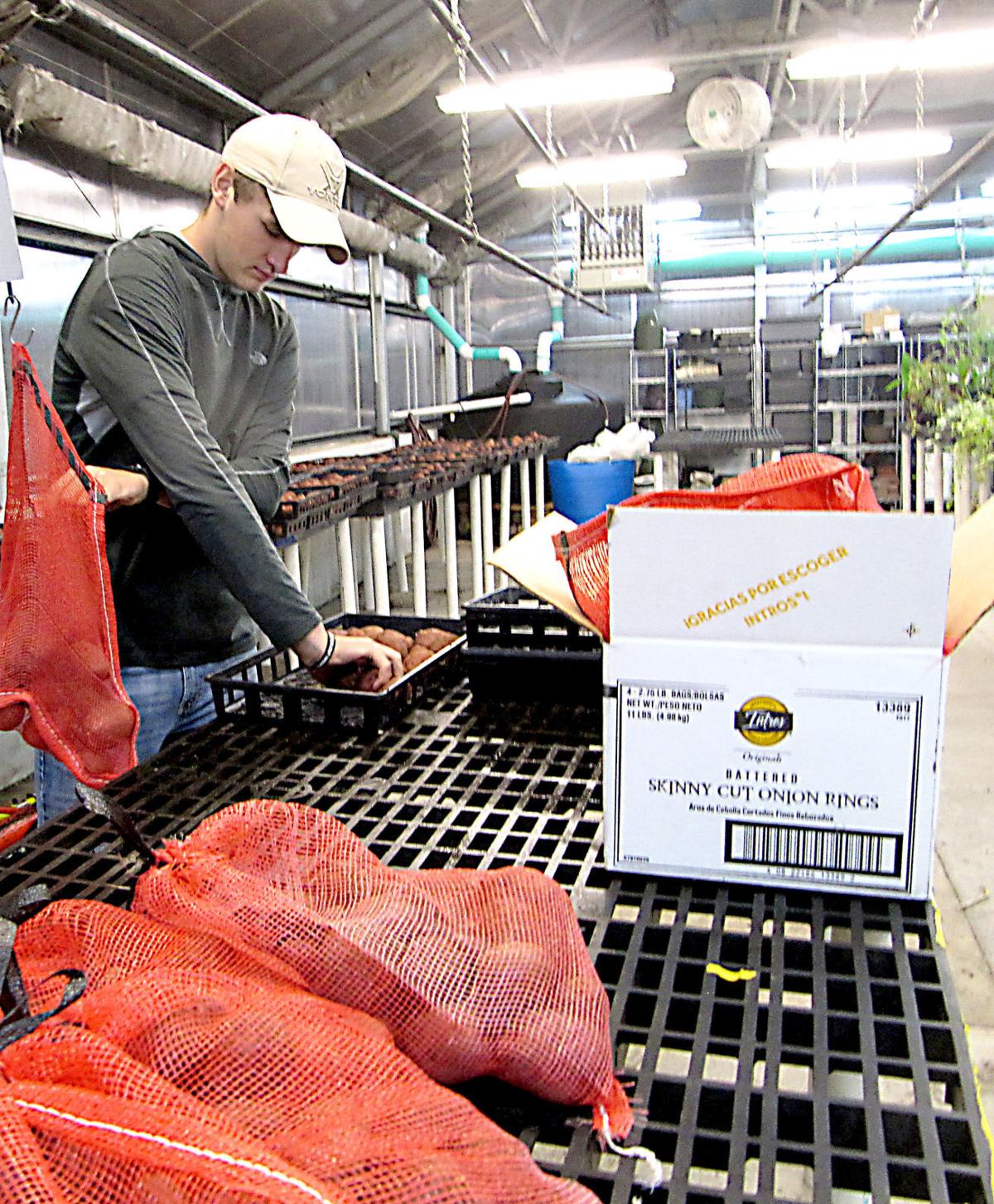 Randolph Cambria Friesland Ffa Honored For Growing Food For