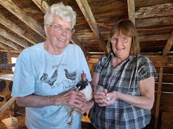 Kathy Thimke and Gayle Macke discuss raising chickens as part of the Friends in the Pantry group classes on May 16.