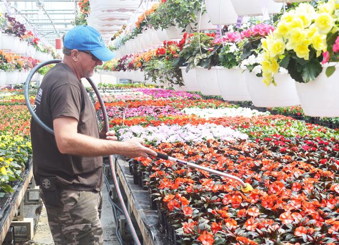 051918-jrnl-news-greenhouse-1_edited-2
