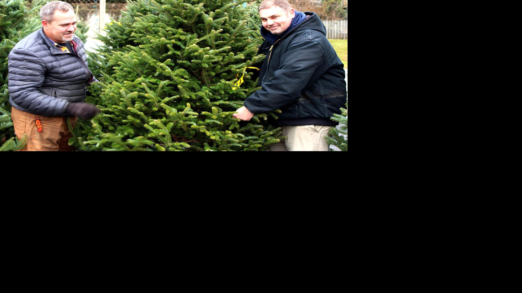 In Depth Live Christmas Tree Market Strong Growers Happy With 2019 Crop Prices Similar To Last Season Regional News Wiscnews Com