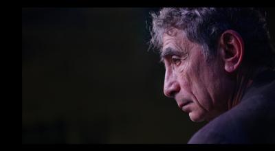 The Wisdom of Trauma