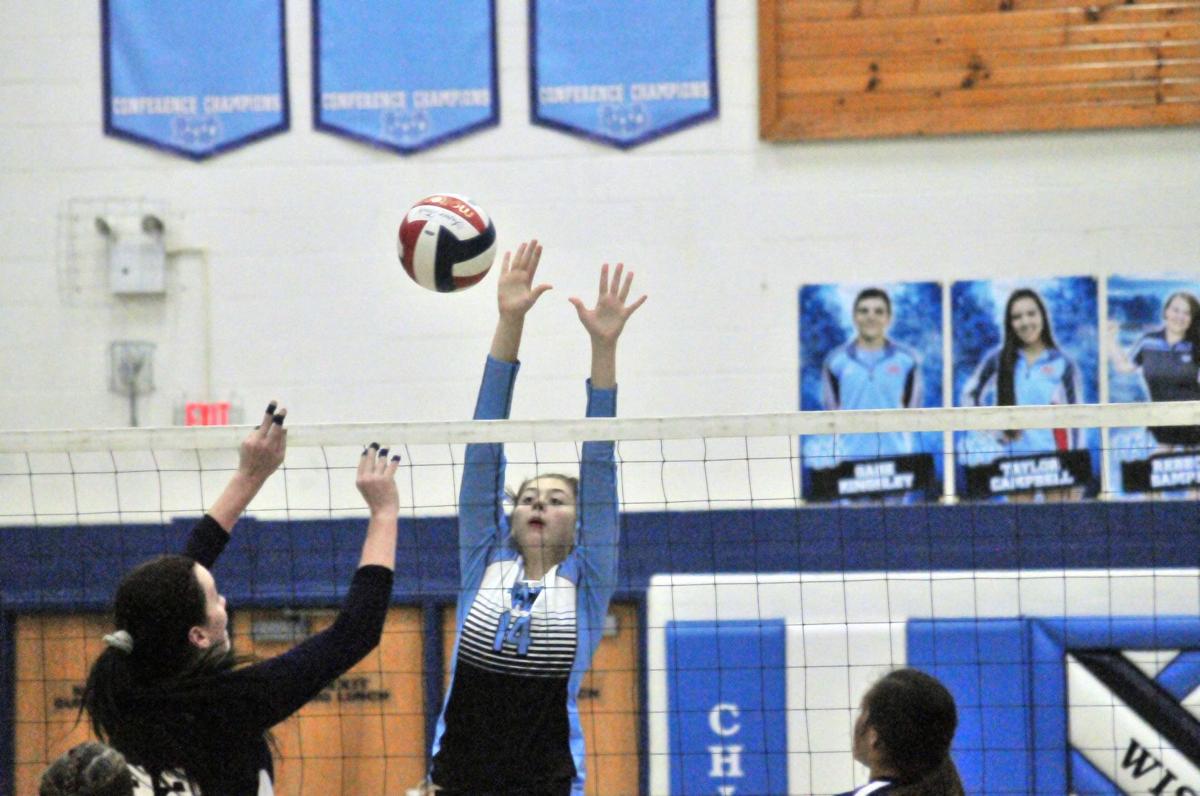 100117-dell-vball10