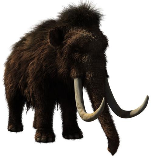 Woolly mammoths once roamed Baraboo