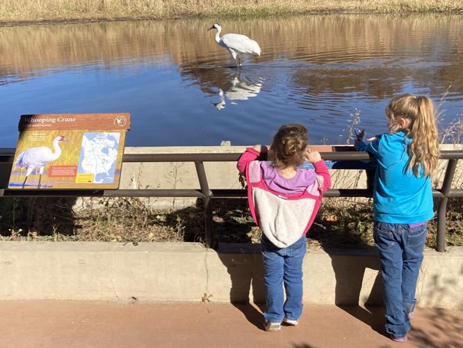 Kids with whooping cranes