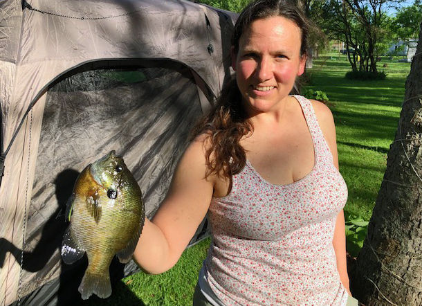 Big Bluegill