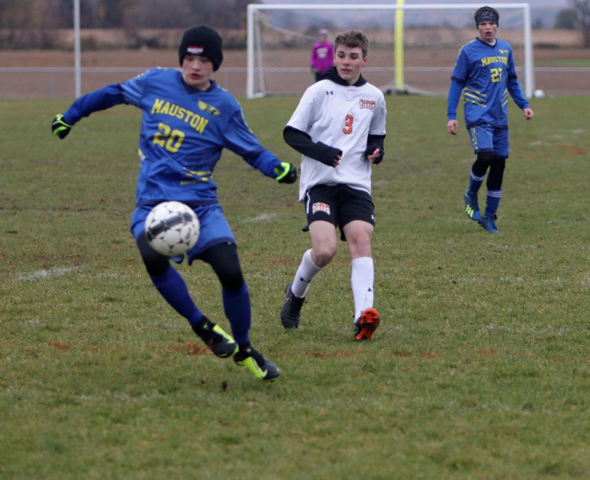 PREP BOYS SOCCER: Delavan-Darien crushes Mauston in regional ...