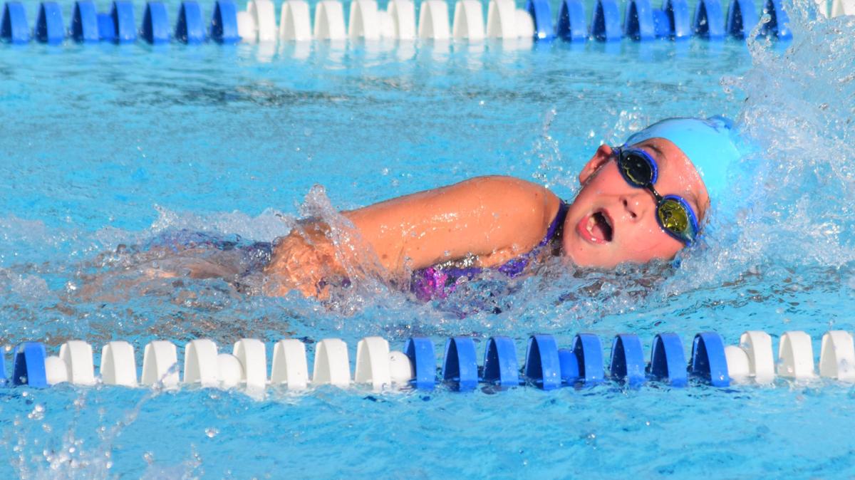 Youth Swimming Wisconsin Dells Makes Waves In Final Home Dual Against Mt Horeb Recreation