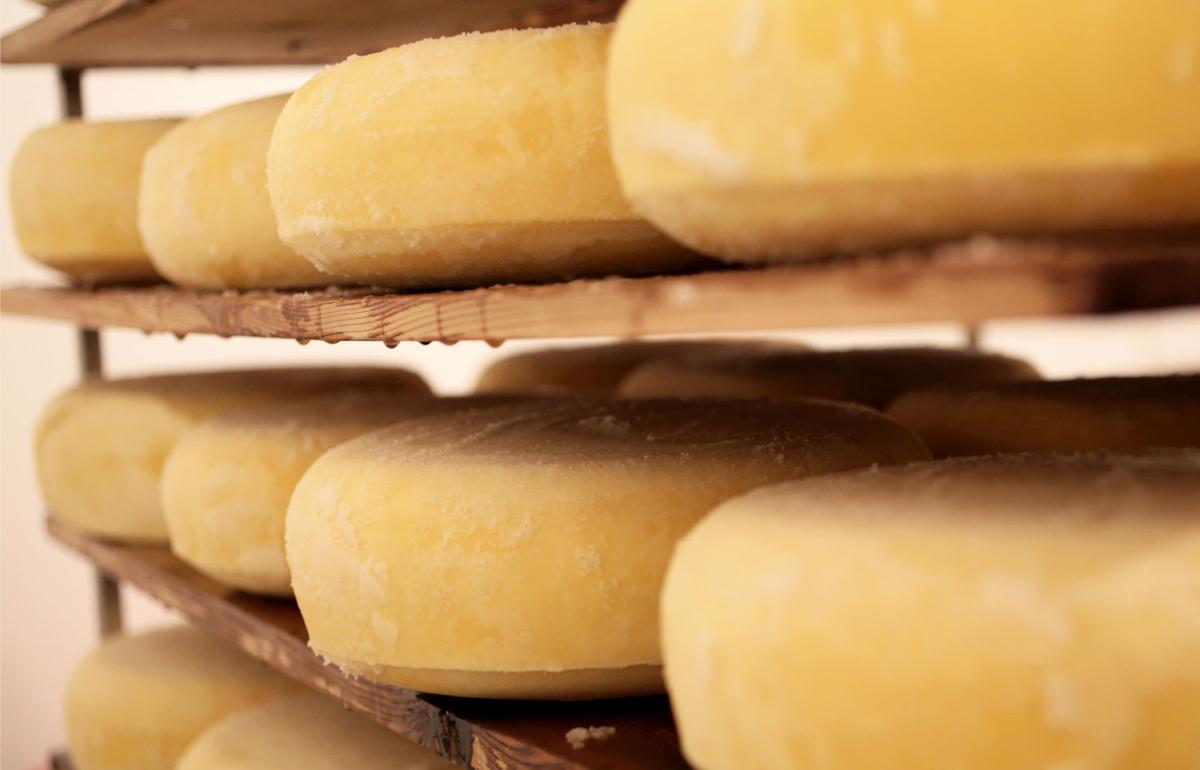 On Wisconsin Uplands Cheese Martha Stewart And Worry