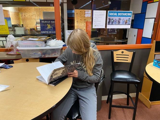 Teen at Baraboo library
