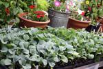 Jeff Hicken Horticultural Learning Center