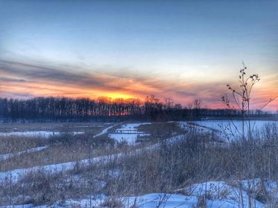 Horicon Marsh in winter