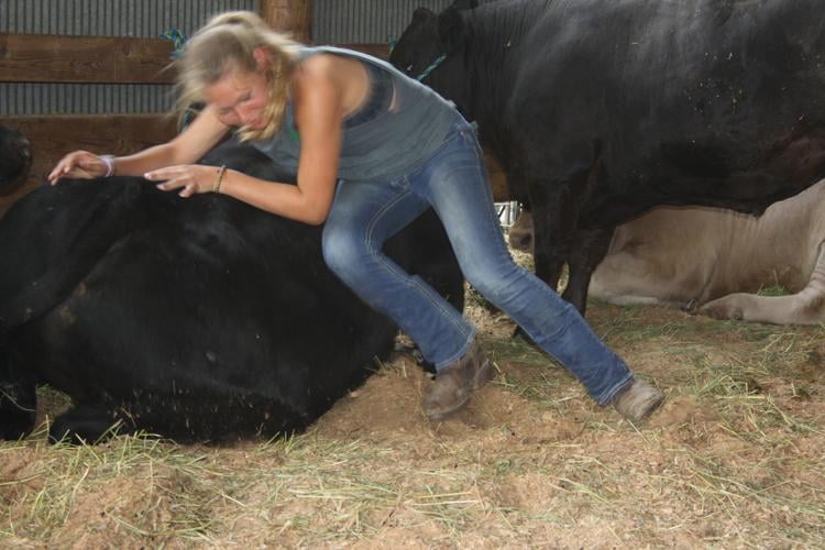 Elroy Fair wraps up 126th year of traditional fun, food and farm animals