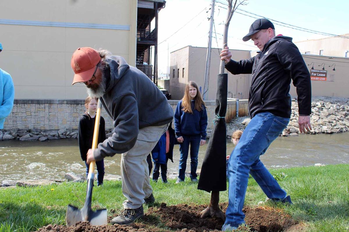 Tree planting