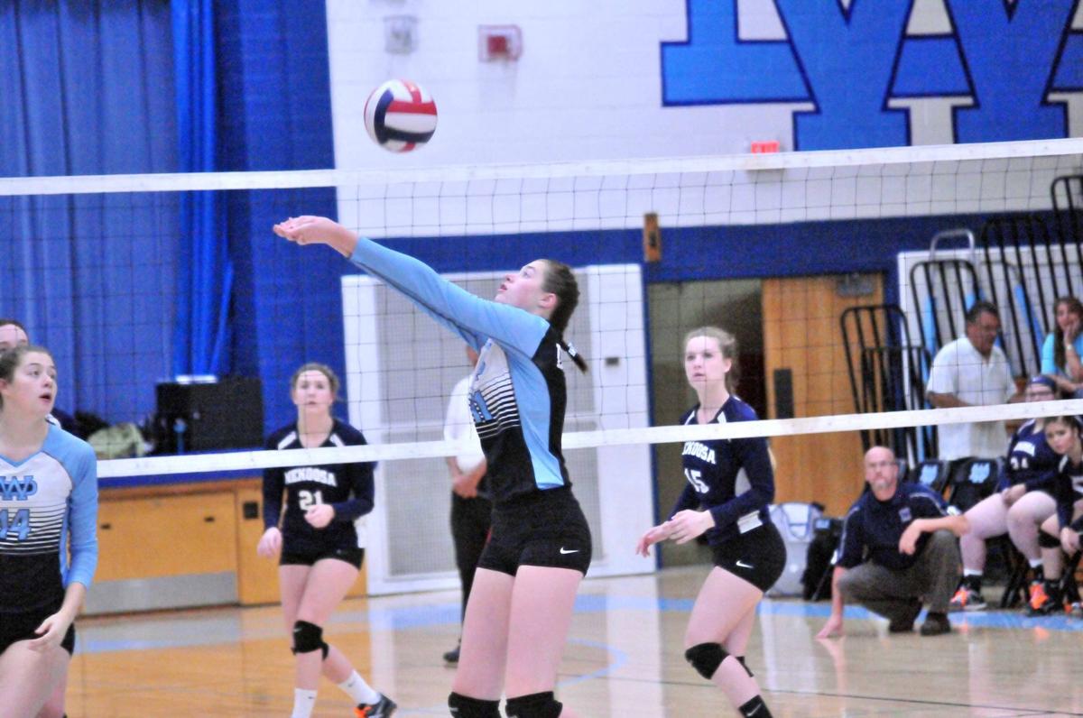 100117-dell-vball17