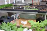 Jeff Hicken Horticultural Learning Center