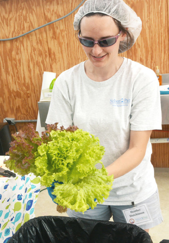 aquaponics: the genesis of an industry in barbados