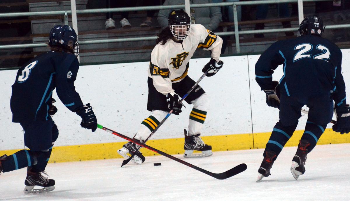 Tyler Brenner Hockey Stats and Profile at