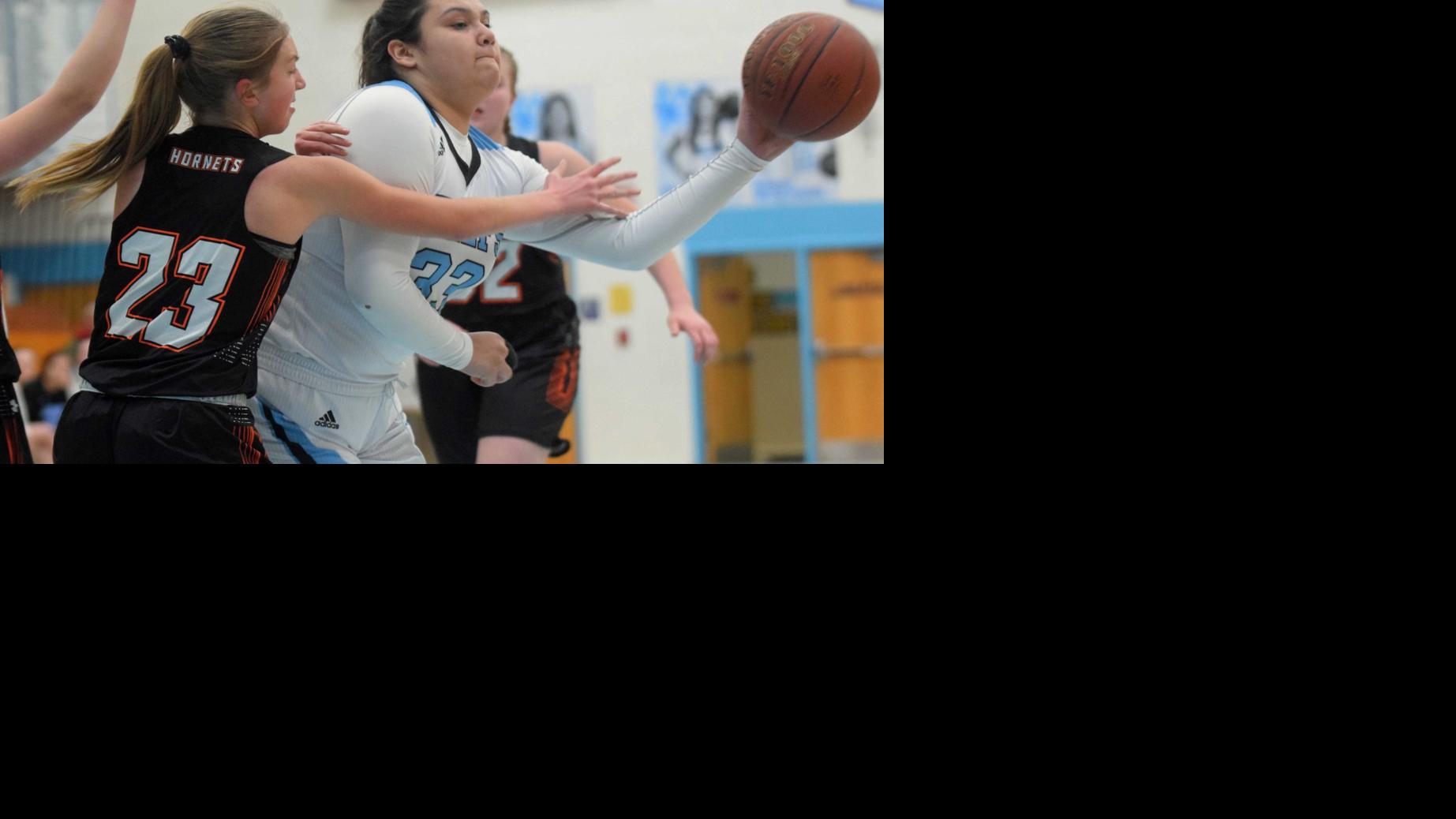 GALLERY Wisconsin Dells girls basketball romps over Wautoma