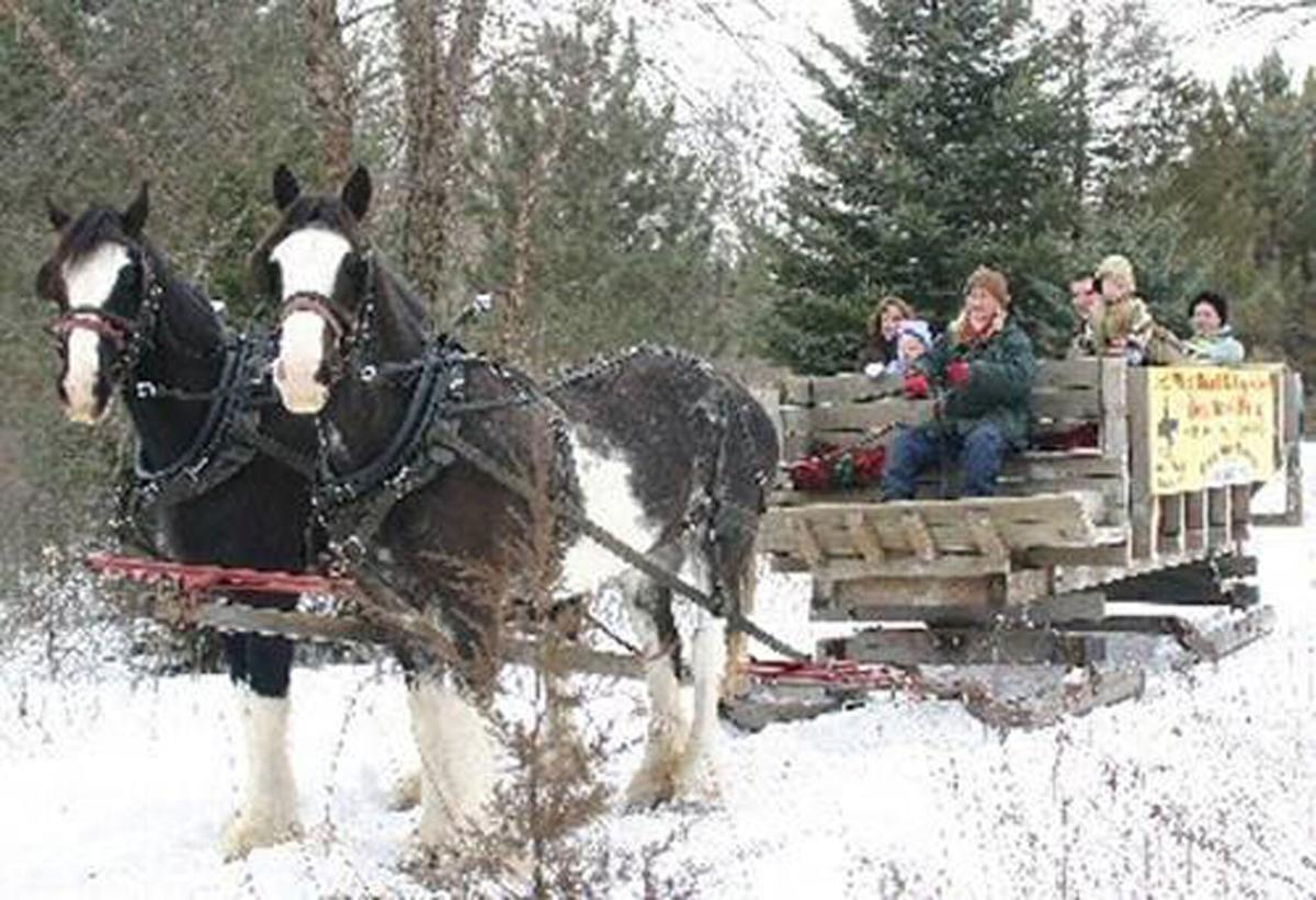 Ranch offers sleigh rides
