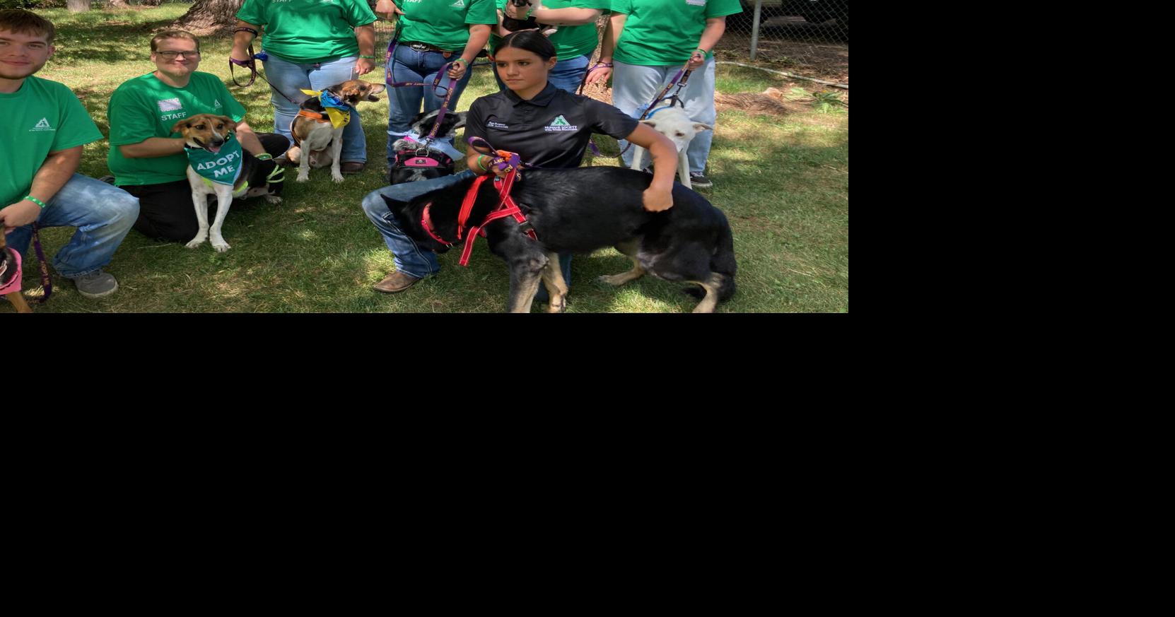 Happy tails abound at auction and barbecue