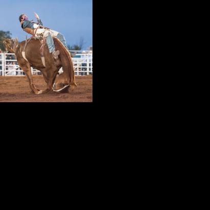 Gibson aims for pro rodeo rookie title | Premium News | wmicentral.com