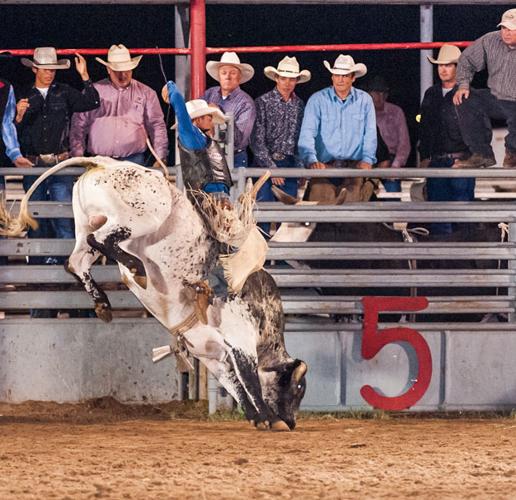 Snowflake Pioneer Days Rodeo Local Sports