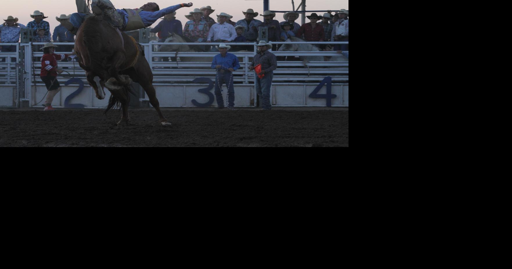 Taylor Night Rodeo | Local Sports | wmicentral.com