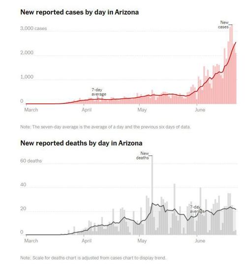 Covid cases and deaths in Arizona