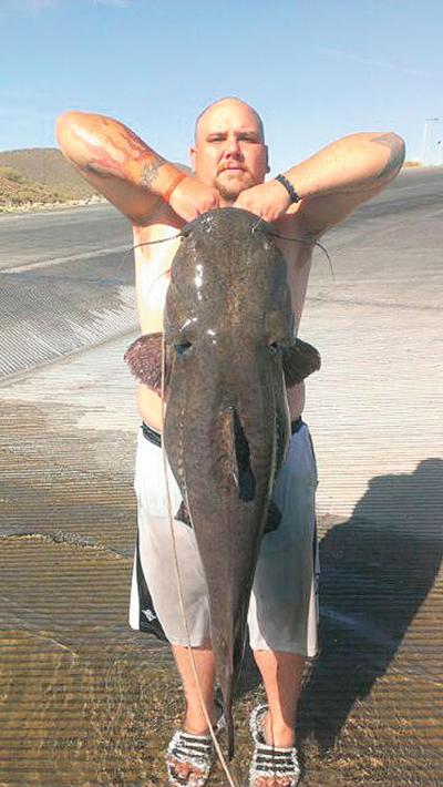 Arizona Becoming Destination For Monster Flathead Catfish Recreation Wmicentral Com