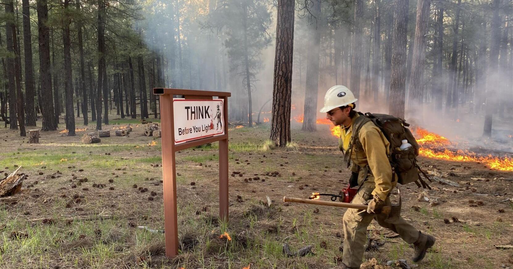 Wildfires mostly contained as weather settles down - Vimarsana News
