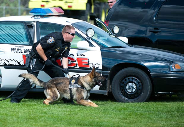 Safety Fair | Local Entertainment | wmicentral.com