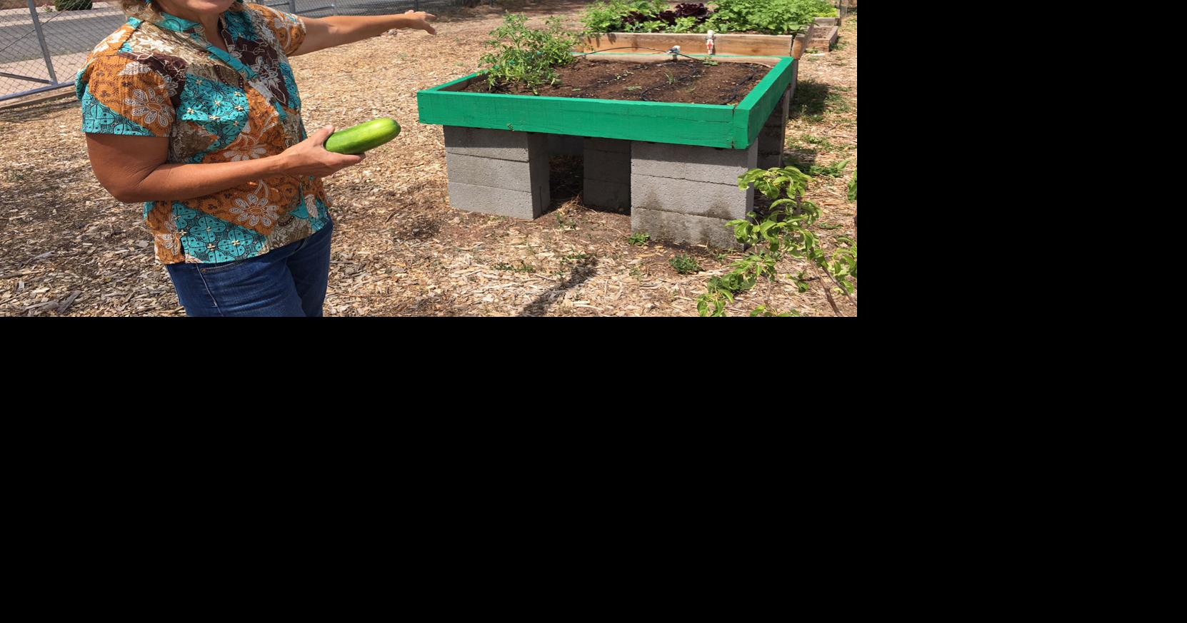 Community garden takes root in Springerville | Latest News | wmicentral.com