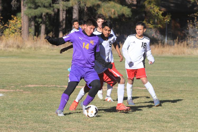 Blue Ridge soccer caps perfect season with state title | Local Sports ...