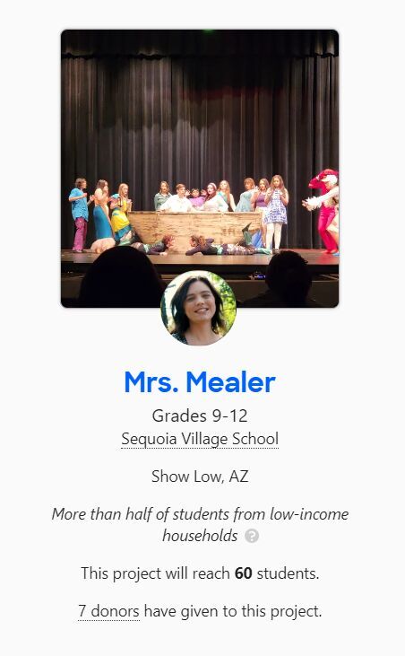 Sequioa Village School seeks support to fund future performance