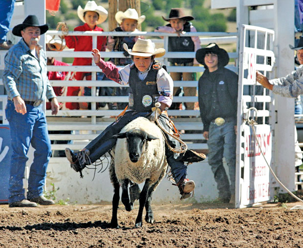 Navajo vs. Apache The 2010 Showdown in the Badlands Latest News