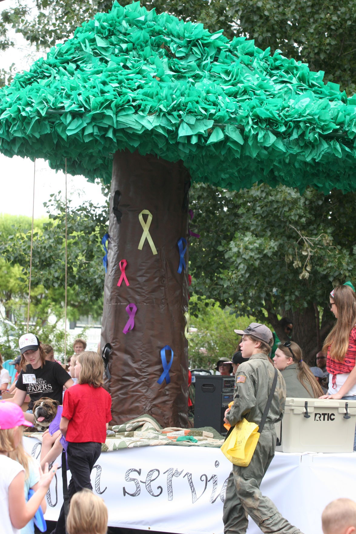 SnowflakeTaylor Pioneer Days Parade 2017 Snowflake/Taylor
