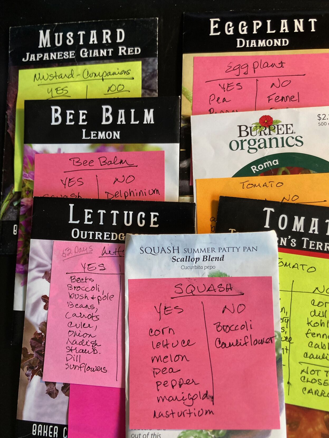 Vegetable Seed Notes Page A2 | e-Editions | wmicentral.com