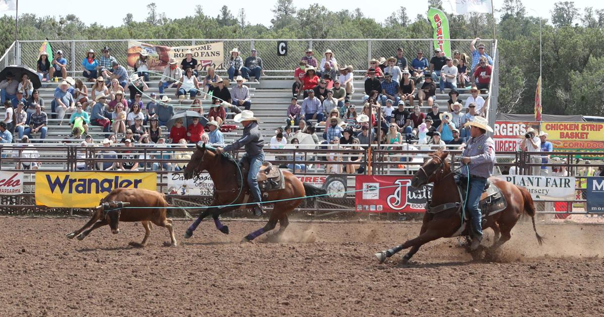 Pro Rodeo point standings shuffle: Team ropers Rogers and Bray move up in  world standings | Local Sports 