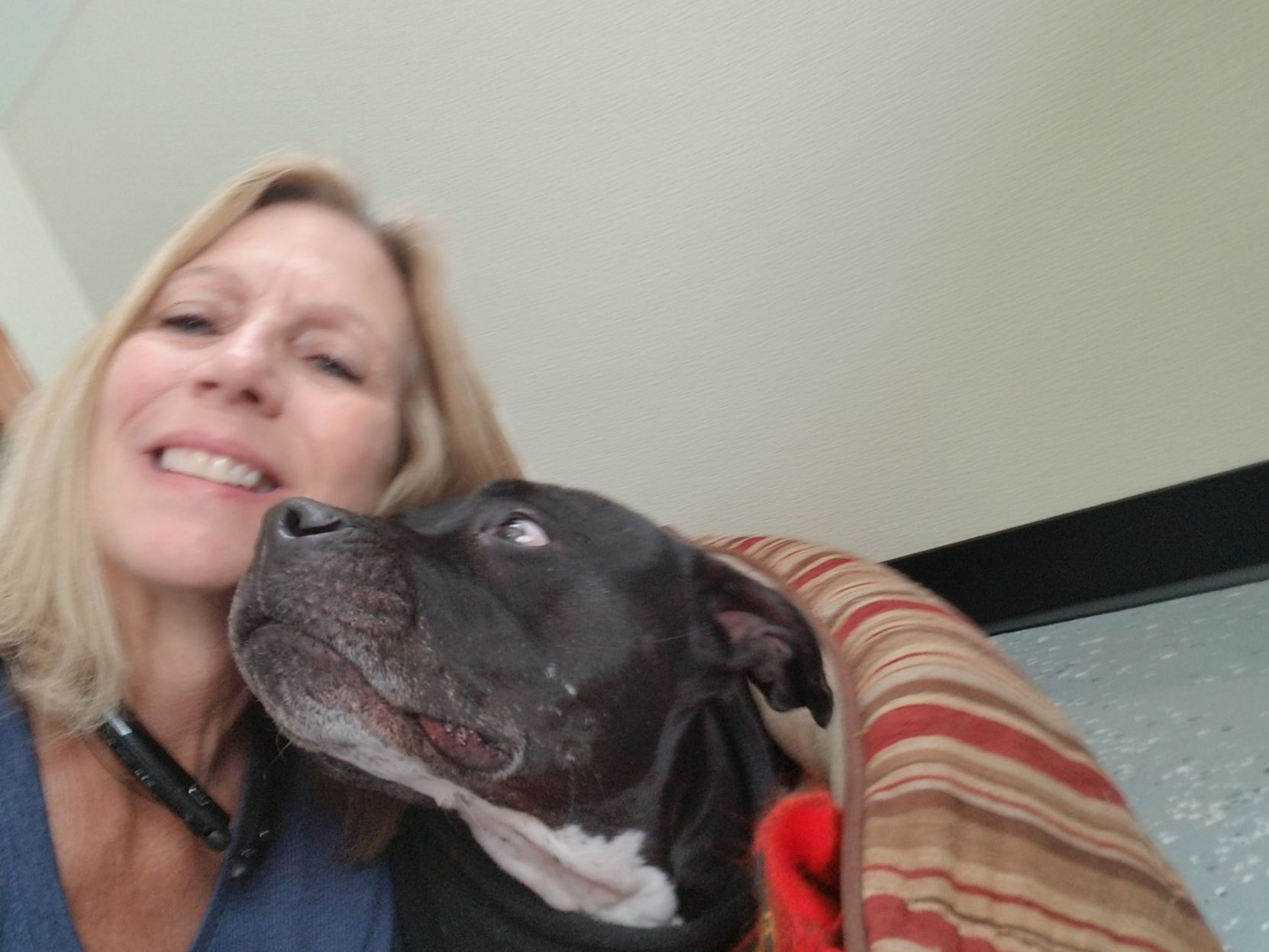 Must love animals Latest News