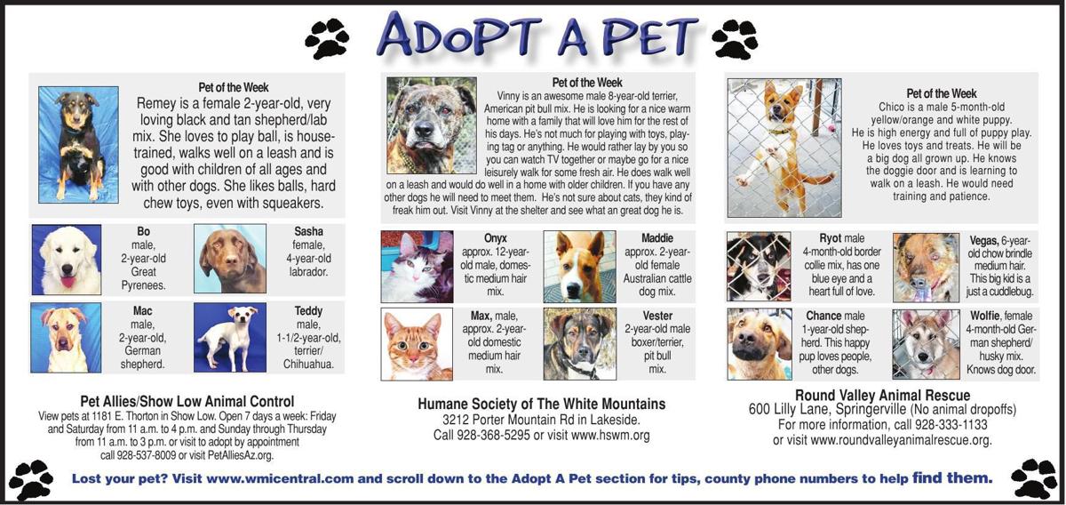 Adopt a Pet | Adopt a Pet | wmicentral.com