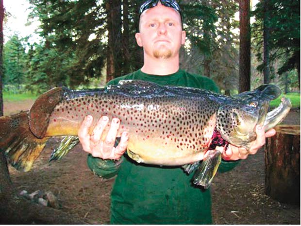 Phoenix man gets trout, elk and pronghorn of a lifetime